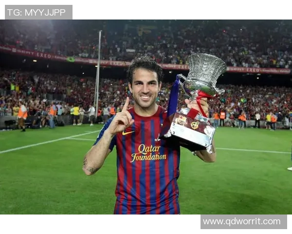 法布雷加斯称球队战术准备充分并盛赞球员表现展现出极高比赛执行力 法布雷加斯称球队战术准备充分并盛赞球员表现展现出极高比赛执行力