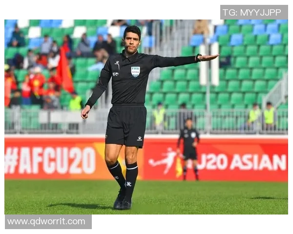 亚冠精英联赛上海申花对阵FC首尔裁判组阵容解析主裁贾迈利掌控全场 亚冠精英联赛上海申花对阵FC首尔裁判组阵容解析主裁贾迈利掌控全场