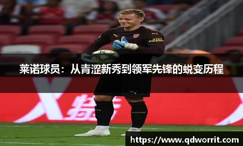 莱诺球员：从青涩新秀到领军先锋的蜕变历程
